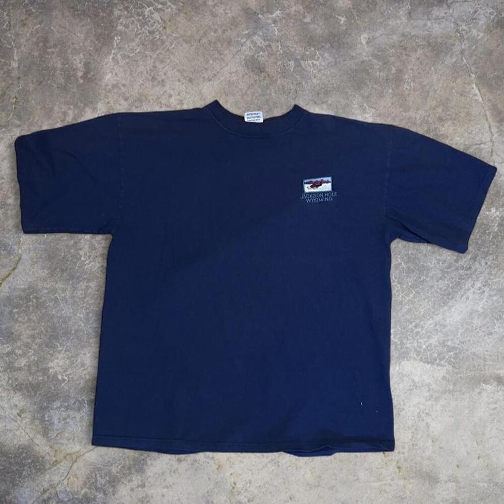 Vintage sansegal sportswear jackson hole